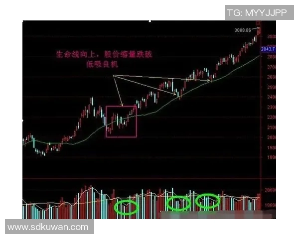 全球股市震荡加剧 各国央行政策调整或成关键风向标