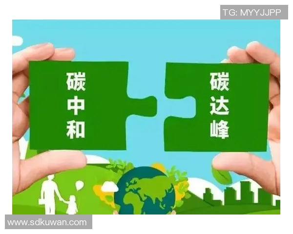 新加坡推出全新环保政策 力争到2030年实现碳中和目标