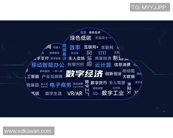 以网络基础设施提升为核心推动数字经济发展战略研究