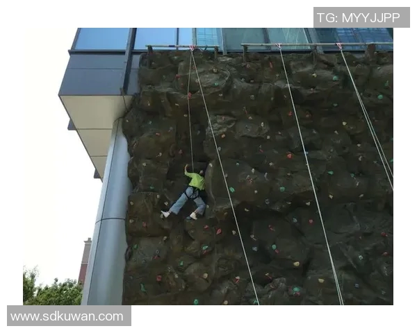 武汉攀岩队力量表现数据分析揭示训练效果与运动员潜力的关系